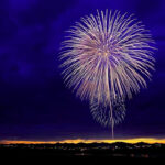 psy cat comportementaliste félin feux d'artifice Nice Monaco Alpes maritimes