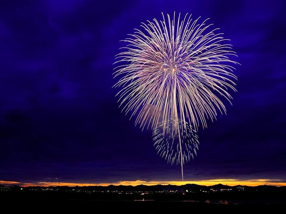 psy cat comportementaliste félin feux d'artifice Nice Monaco Alpes maritimes