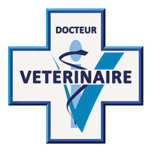 Vétérinaire Psy Cat Comportementaliste Félin Nice Monaco Alpes Maritimes