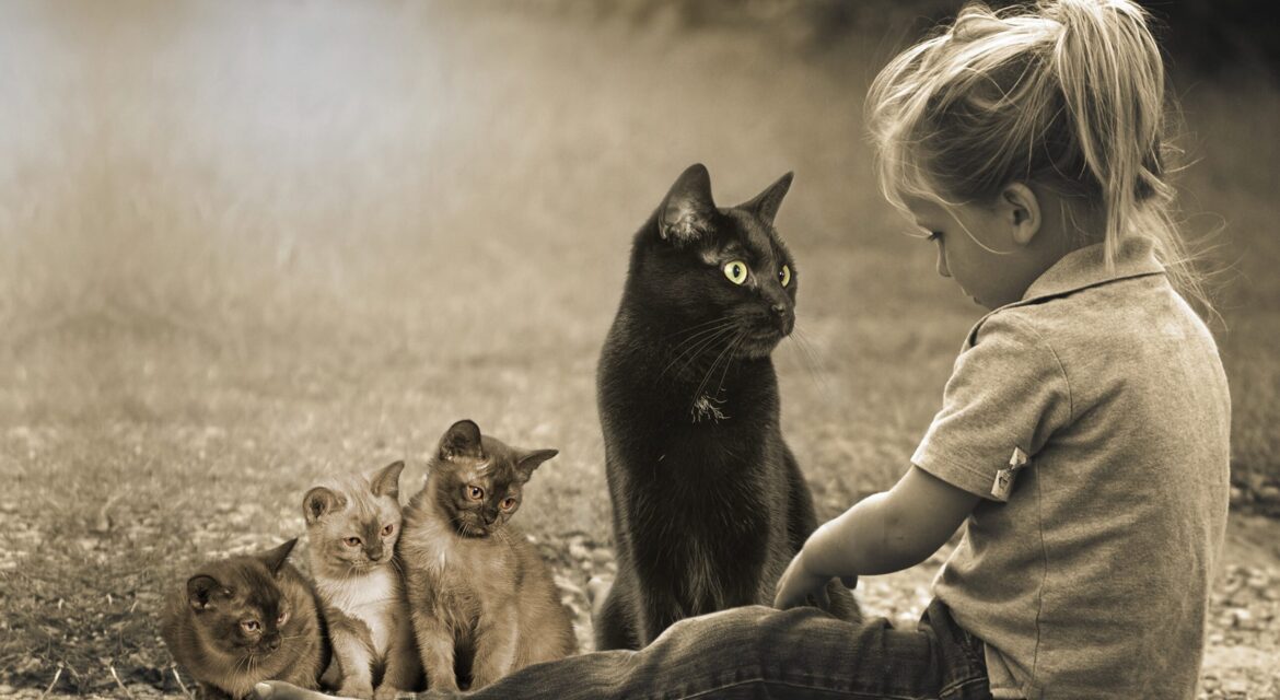 Psy Cat petite fille et 4 chats Nice Monaco Alpes Maritimes