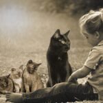 Psy Cat petite fille et 4 chats Nice Monaco Alpes Maritimes