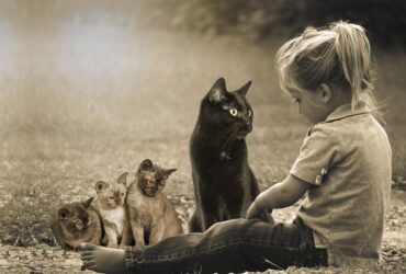 Psy Cat petite fille et 4 chats Nice Monaco Alpes Maritimes