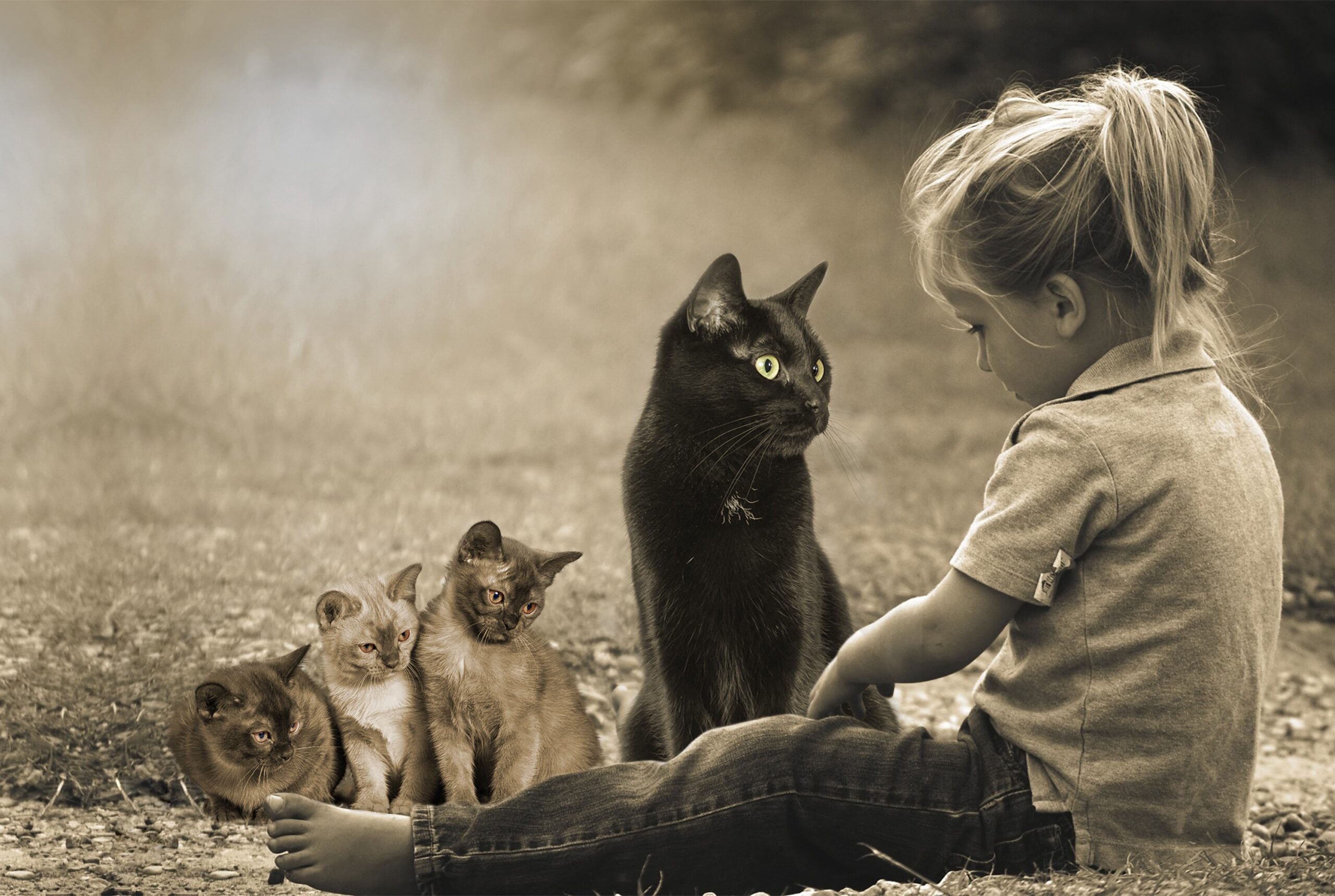 Psy Cat petite fille et 4 chats Nice Monaco Alpes Maritimes