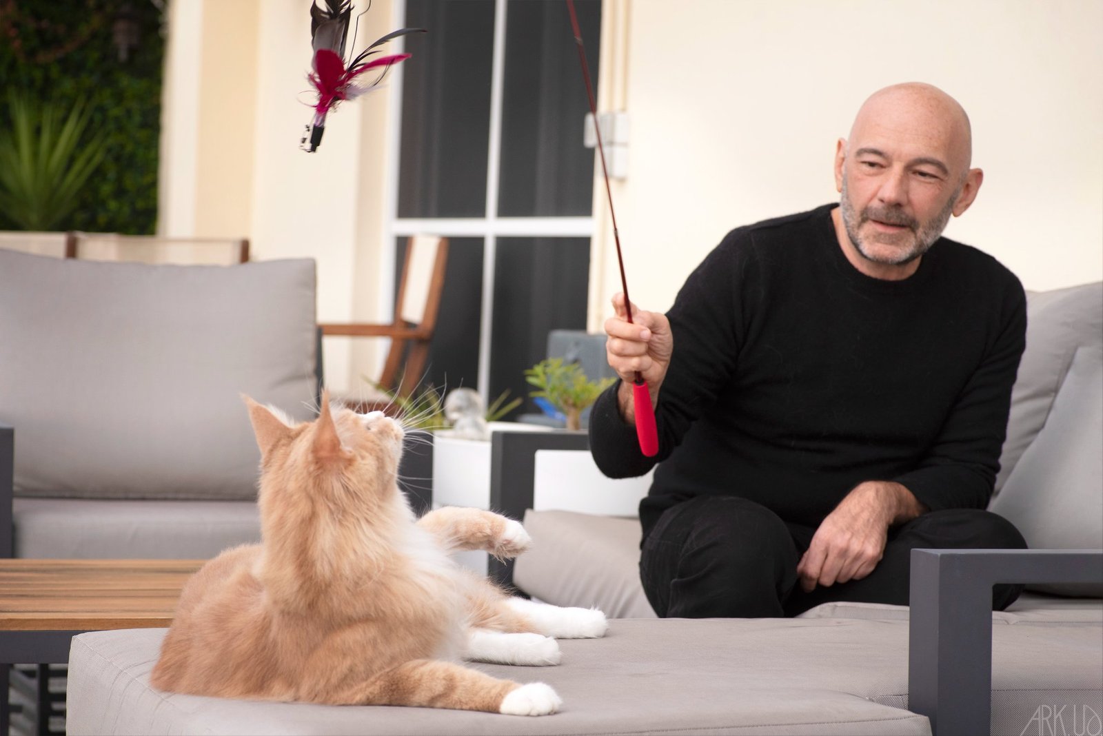 Psy Cat Comportementaliste Félin Nice Monaco Alpes Maritimes Var