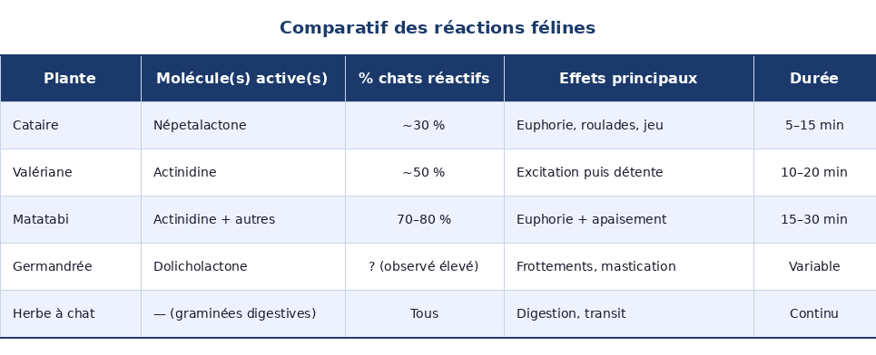 Comparatif des réactions féline aux Herbes aux chats Psy Cat Comportementaliste Félin Nice Monaco Alpes Maritimes Var 
