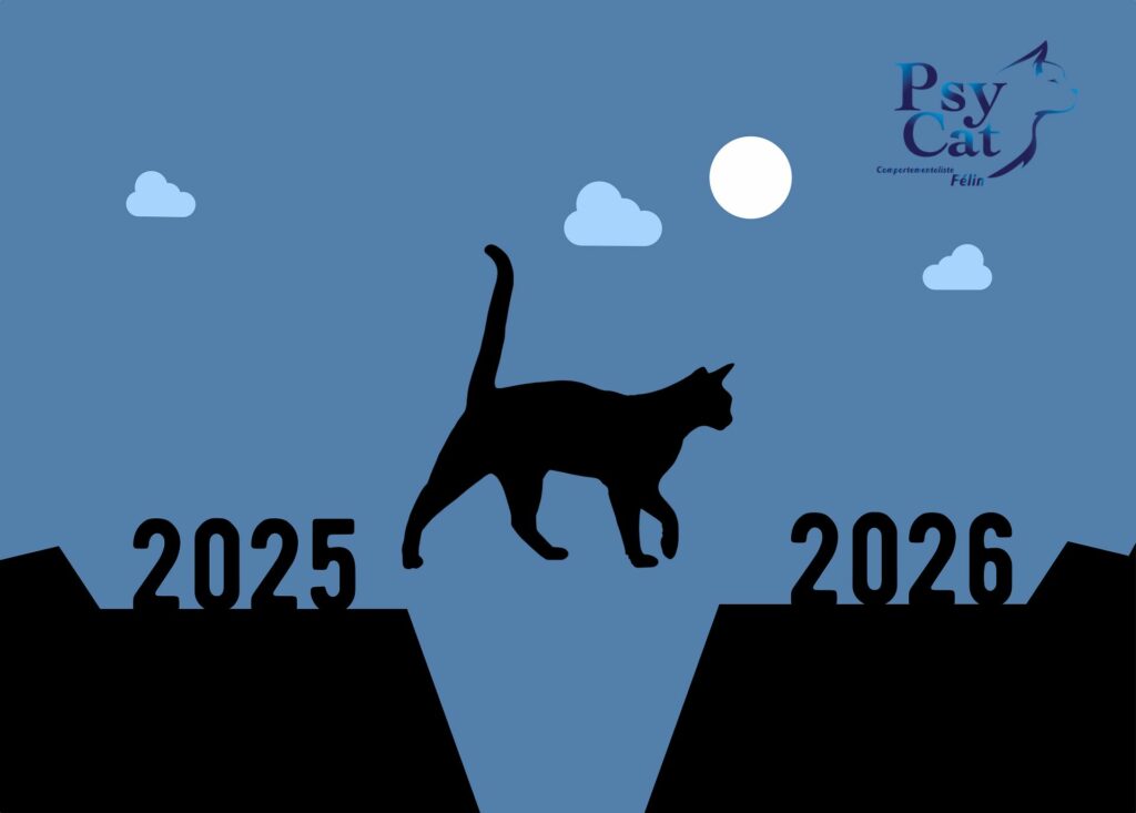 Bonne année 2026 Psy Cat Comportementalise Félin Nice Monaco Alpes Maritimes 
