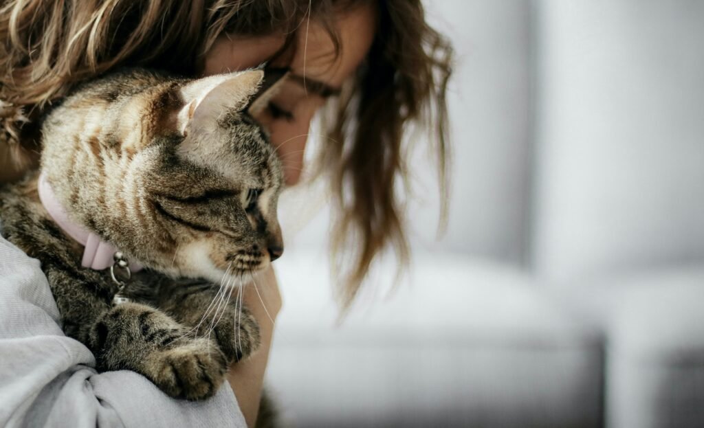 Psy Cat Comportementaliste Félin Nice Monaco Alpes Maritimes 06 Var 83 Allergie au chat quinter