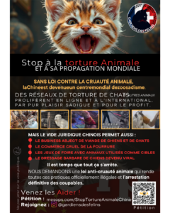 Psy Cat Comportementaliste Félin Nice Monaco Alpes Maritimes 06 Var 83 Gardiens des félins