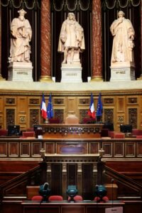 Psy Cat Comportementaliste Félin Nice Monaco Alpes Maritimes 06 Var 83 Assemblée Nationale