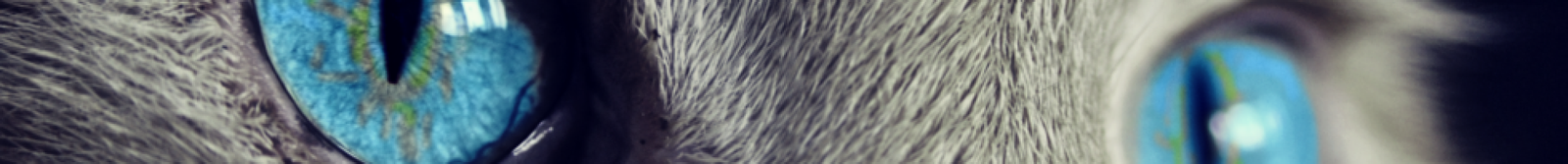 Psy Cat Comportementaliste FÃ©lin Nice Monaco Alpes-Maritimes Var - Il Ã©tait une fois le chat